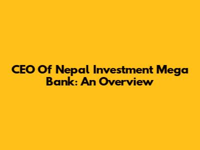 CEO Of Nepal Investment Mega Bank: An Overview