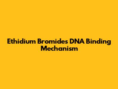 Ethidium Bromide's DNA Binding Mechanism